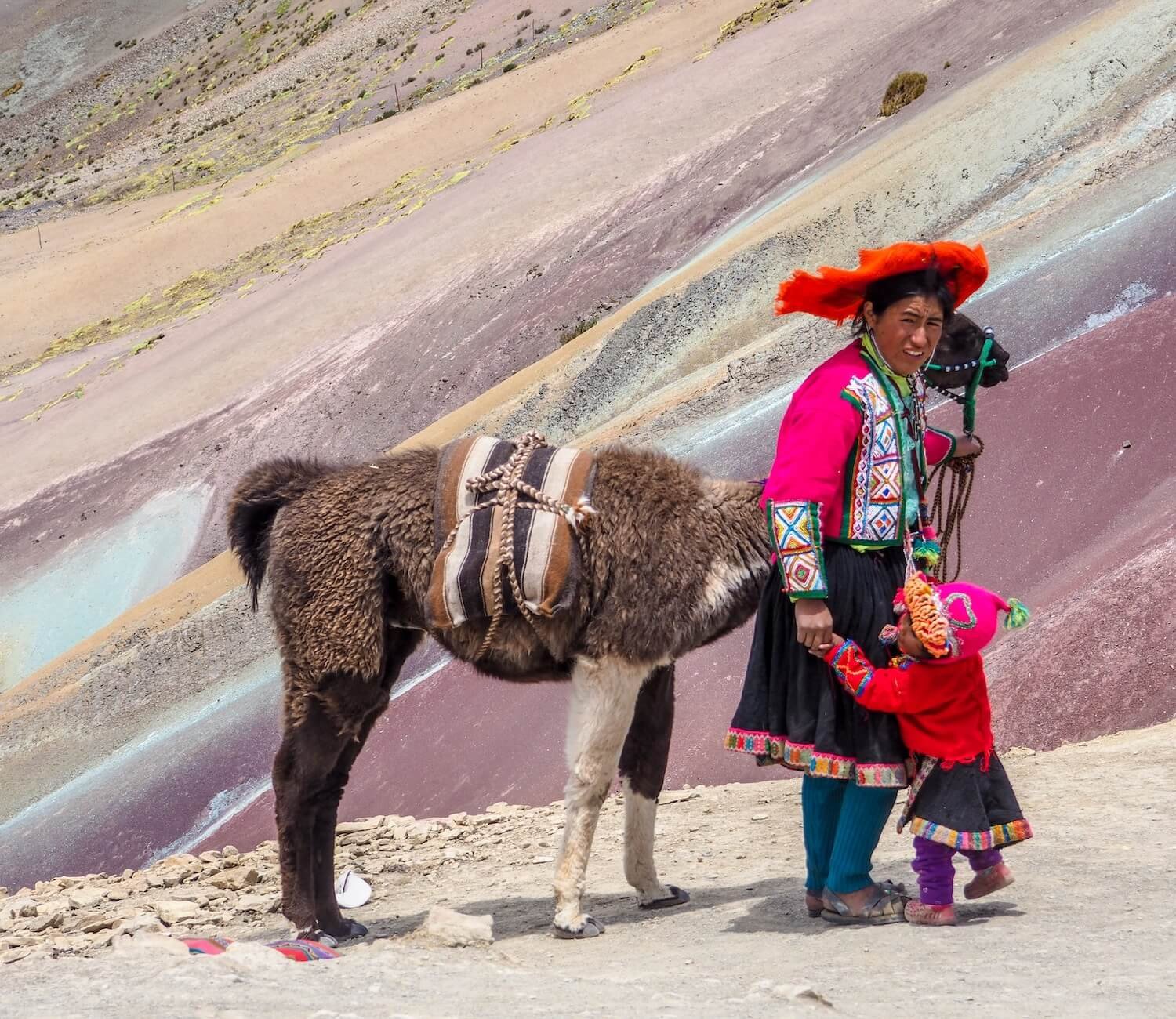 Alpacas junto con locales en Vinicunca