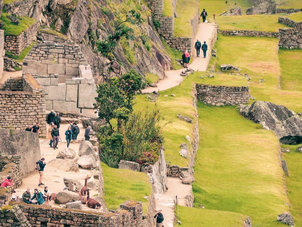 Machu Picchu 2 day tour - llamas and plaza